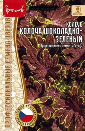 Колеус Колоча Шоколадно-Зелёный (Colocha Chocolate Green) (Григорьев) - Сезон у Дачи