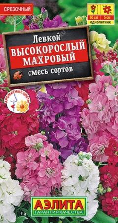 Левкой Высокорослый махровый смесь (Аэлита) - Сезон у Дачи