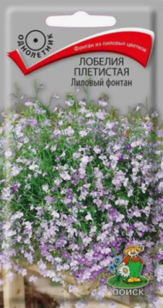 Лобелия Лиловый фонтан плетистая (Поиск) - Сезон у Дачи