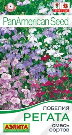 Лобелия Регата ампельная смесь (Аэлита) - Сезон у Дачи