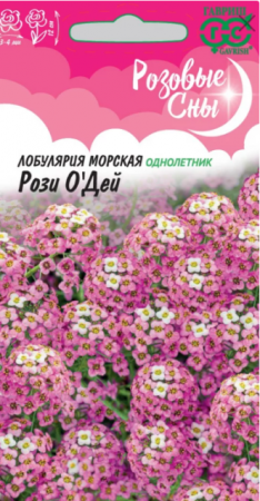 Лобулярия Рози о Дей /Розовые сны (Гавриш) - Сезон у Дачи