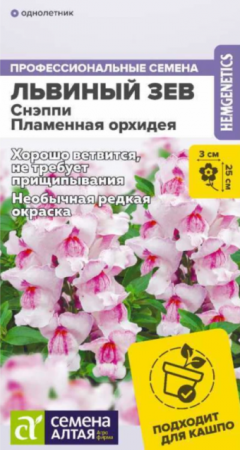 Львиный зев Снэппи Пламенная орхидея (СемАлт) - Сезон у Дачи