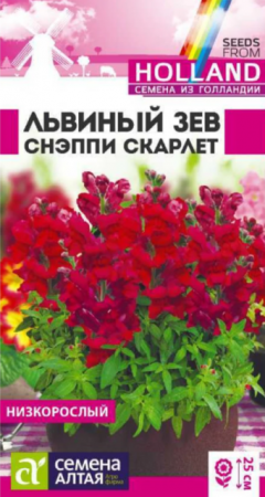 Львиный зев Снэппи Скарлет (СемАлт) - Сезон у Дачи