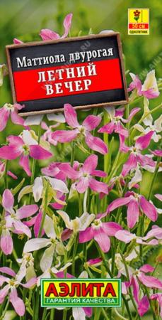 Маттиола двурогая Летний вечер (Аэлита) - Сезон у Дачи