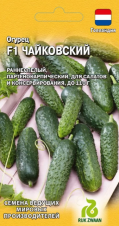 Огурец Чайковский F1 /Rijk Zwaan (Гавриш) - Сезон у Дачи