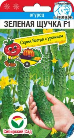 Огурец Зеленая щучка F1 (Сиб Сад) - Сезон у Дачи