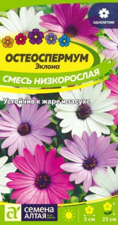 Остеоспермум Эклона Смесь низкорослая (СемАлт) - Сезон у Дачи