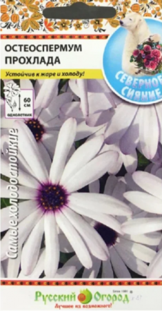 Остеоспермум Прохлада (НК) - Сезон у Дачи
