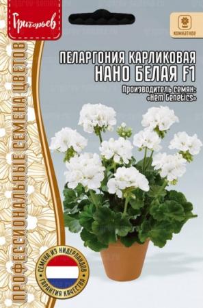Пеларгония Нано Белая F1 карликовая (Григорьев) - Сезон у Дачи