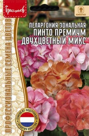 Пеларгония Пинто Премиум Двухцветный Микс зональная (Pinto Premium Bicolor Mix) (Григорьев) - Сезон у Дачи