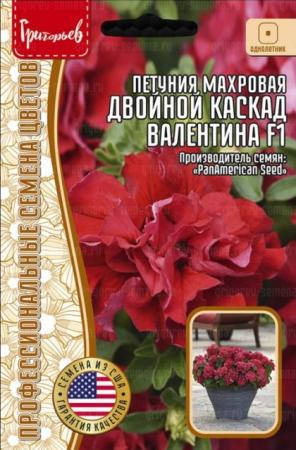 Петуния Двойной Каскад Валентина F1 махровая (Double Cascade Valentine) (Григорьев) - Сезон у Дачи