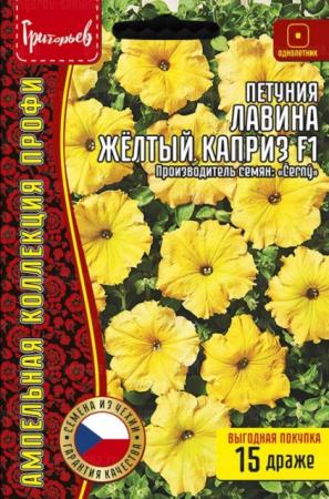 Петуния Лавина Жёлтый Каприз F1 (Avalanche Yellow Caprice) (Григорьев) - Сезон у Дачи