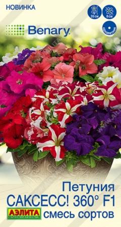 Петуния САКСЕСС! 360 F1 смесь (Аэлита) - Сезон у Дачи