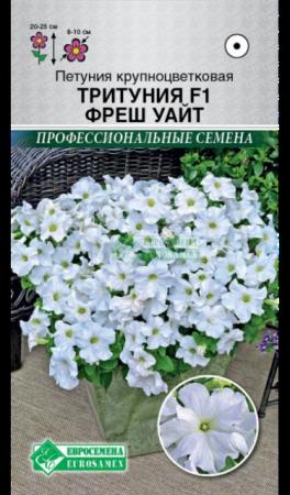 Петуния ТРИТУНИЯ F1 Фреш Уайт крупноцветковая (Евросемена) - Сезон у Дачи