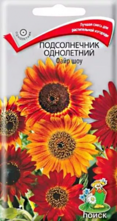 Подсолнечник Файр Шоу (Поиск) - Сезон у Дачи