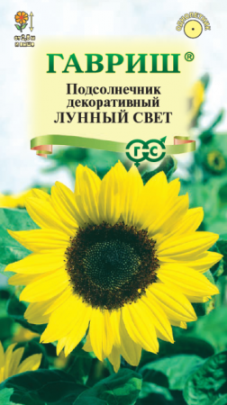 Подсолнечник Лунный свет (Гавриш) - Сезон у Дачи