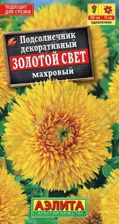 Подсолнечник Золотой свет (Аэлита) - Сезон у Дачи