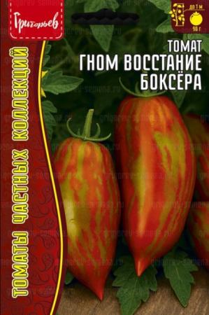 Томат Гном Восстание Боксёра (Dwarf Boxer Rebellion) (Григорьев) - Сезон у Дачи