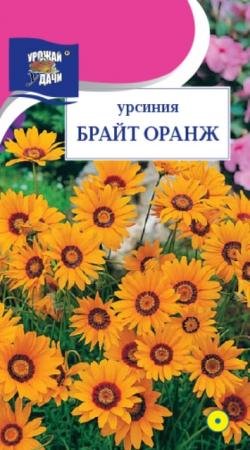 Урсиния Брайт Оранж (УУ) - Сезон у Дачи