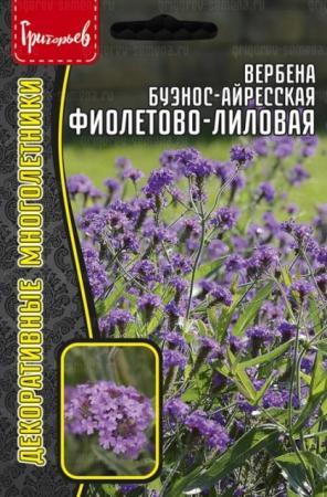 Вербена Фиолетово-Лиловая буэнос-айресская (Григорьев) - Сезон у Дачи