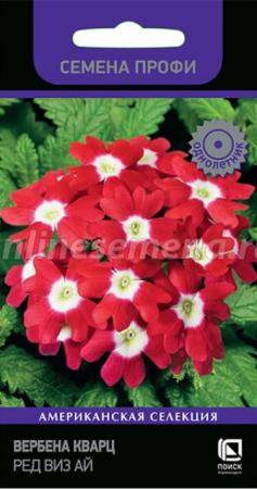 Вербена Кварц Ред виз Ай /Семена Профи (ПОИСК) - Сезон у Дачи