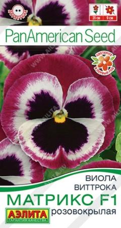 Виола Матрикс F1 крупноцветковая Розовокрылая (Аэлита) - Сезон у Дачи