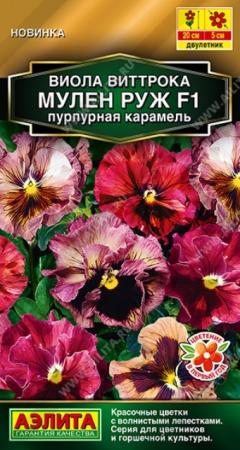Виола Мулен Руж F1 Пурпурная карамель (Аэлита) - Сезон у Дачи