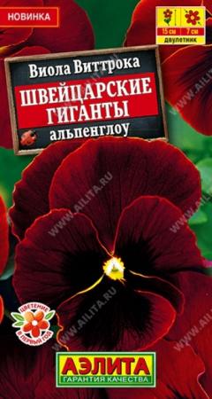 Виола Швейцарские гиганты Альпенглоу (Аэлита) - Сезон у Дачи