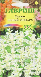 Сальвия Белый монарх - Сезон у Дачи