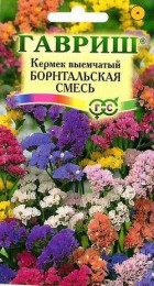 Лимониум Борнтальский смесь - Сезон у Дачи