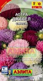 Астра Джевел смесь - Сезон у Дачи