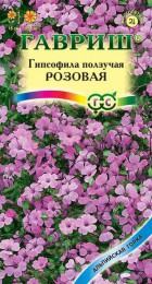 Гипсофила ползучая Розовая - Сезон у Дачи