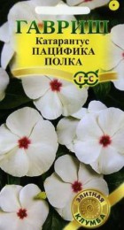 Катарантус Пацифика Полка (Гавриш) - Сезон у Дачи