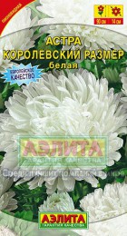 Астра Королевский размер Белая - Сезон у Дачи