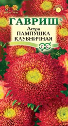 Астра Пампушка клубничная - Сезон у Дачи