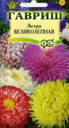 Астра Великолепная Смесь сортов - Сезон у Дачи