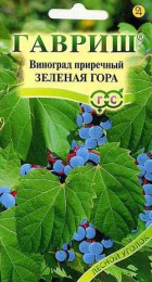 Партеноциссус (Виноград приречный) Зеленая Гора 5шт (Гавриш) - Сезон у Дачи