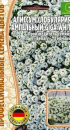 Алиссум ампельный Giga White - Сезон у Дачи