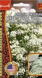 Алиссум Clear Crystal White F1 5м.др. - Сезон у Дачи