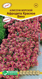 Алиссум (Лобулярия) АФРОДИТА КРАСНОЕ ВИНО (Евросемена) - Сезон у Дачи