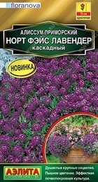 Алиссум Норт Фэйс Лавендер каскадный (Аэлита) - Сезон у Дачи
