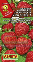 Земляника Алый огонек F1 - Сезон у Дачи