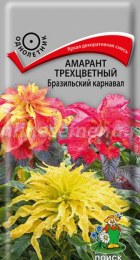 Амарант Бразильский карнавал (Поиск) - Сезон у Дачи