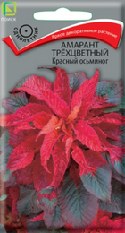 Амарант Красный осьминог (Поиск) - Сезон у Дачи