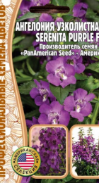 Ангелония узколистная Серенита Пурпл F1 (ИП Григорьев) - Сезон у Дачи