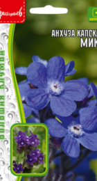 Анхуза капская микс (ИП Григорьев) - Сезон у Дачи