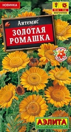 Антемис Золотая ромашка (Аэлита) - Сезон у Дачи
