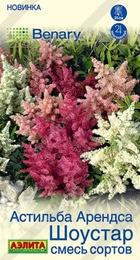 Астильба Шоустар смесь сортов (Аэлита) - Сезон у Дачи