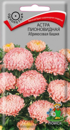 Астра Абрикосовая башня пионовидная (Поиск) - Сезон у Дачи