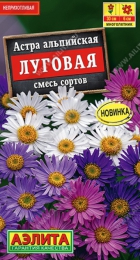 Астра альпийская Луговая смесь сортов (А) - Сезон у Дачи